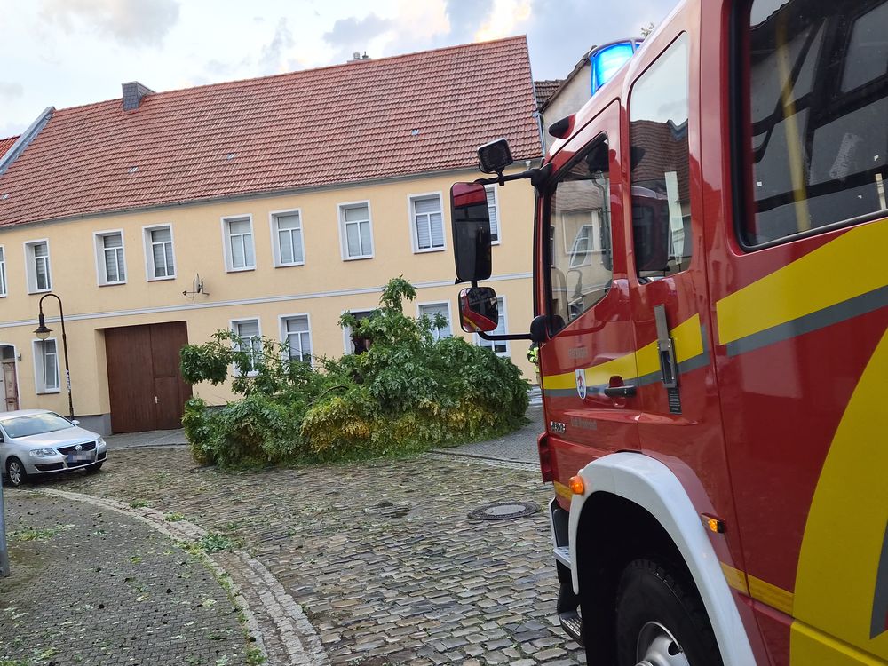 Einsatz105 2025